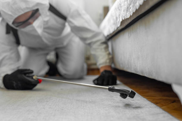 Professional Cockroach Control technician working in Duson, LA