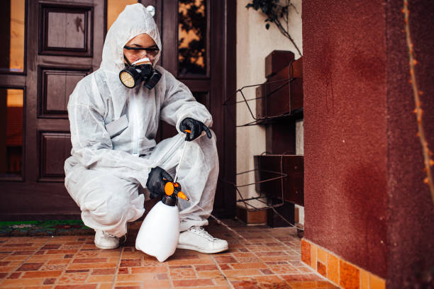 Reliable Cockroach Control contractor in Duson, LA by Nex Pest Control